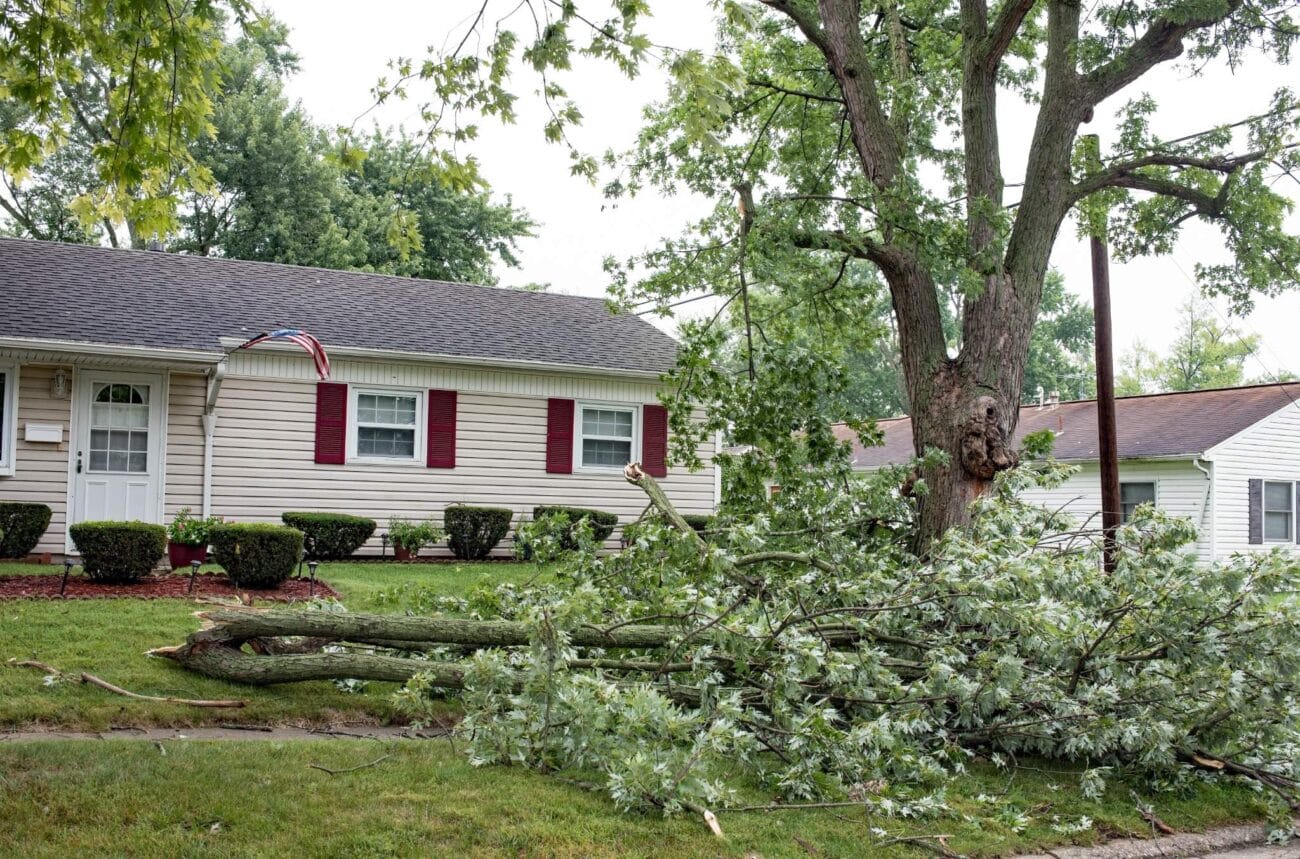 A large tree branch has fallen onto the front yard of a house, damaging the roof and gutter near the edge of the home.
